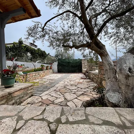 Daire Eveline Boutique